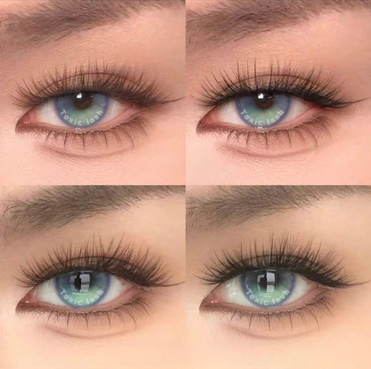 Toxic Lash｜Ailianshuo