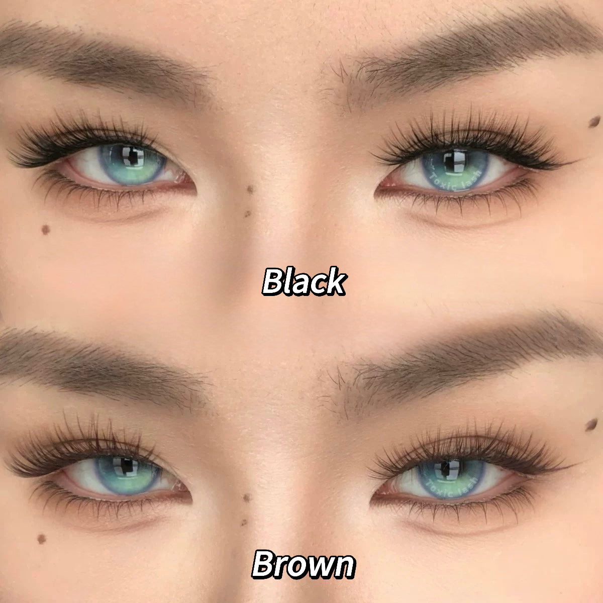 Toxic Lash｜Ailianshuo