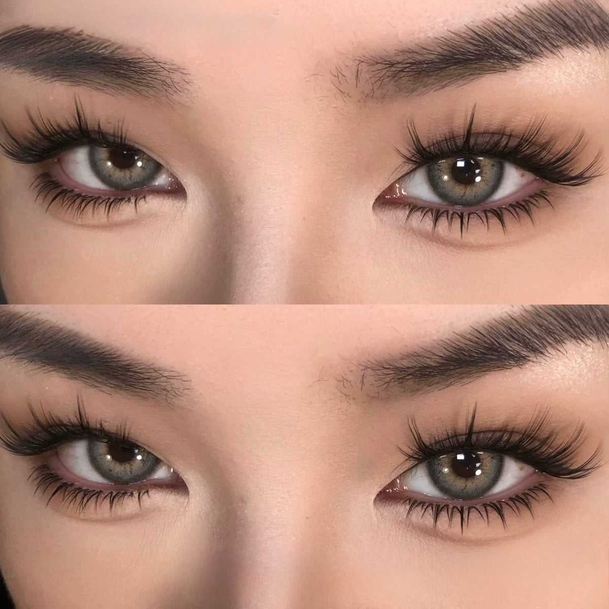 Toxic Lash｜Black Bean