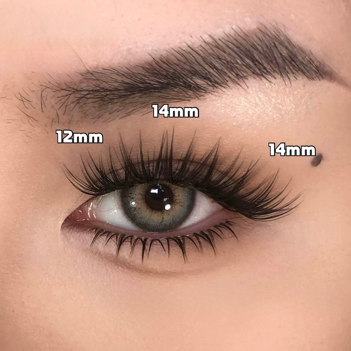 Toxic Lash｜Shinjuku Calling