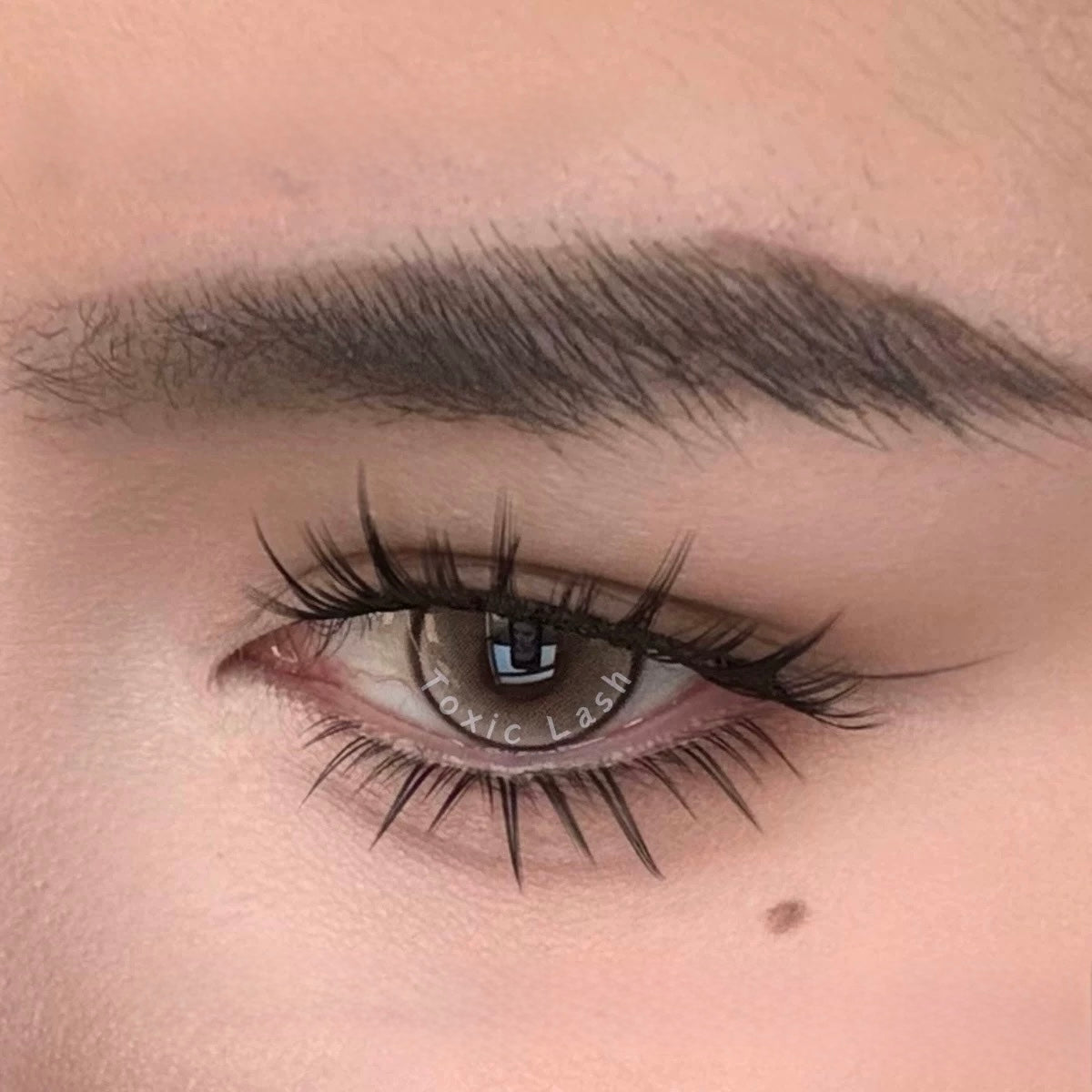 Toxic Lash｜Summer Night Bloom (Lower Lashes)