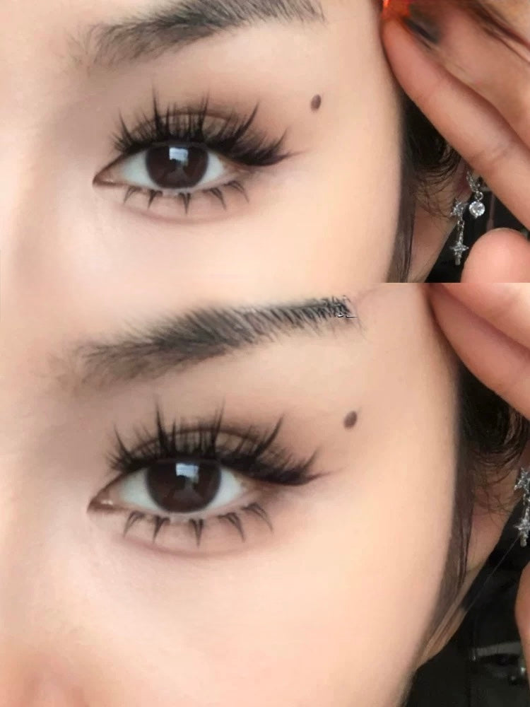 Toxic Lash｜Persian Cat