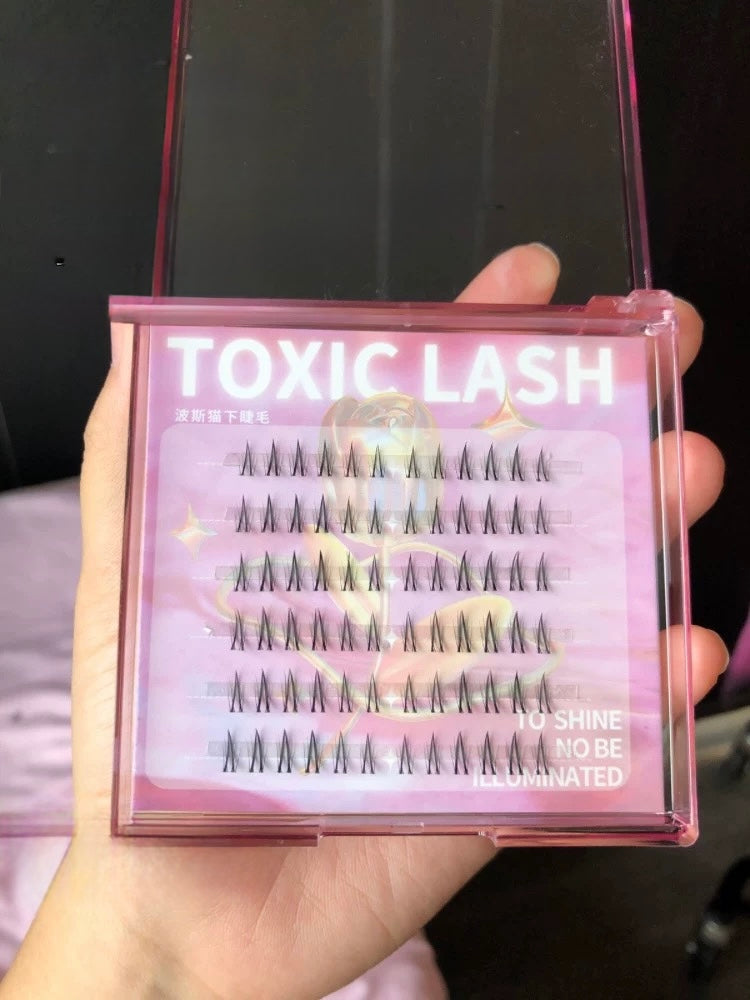 Toxic Lash｜Persian Cat
