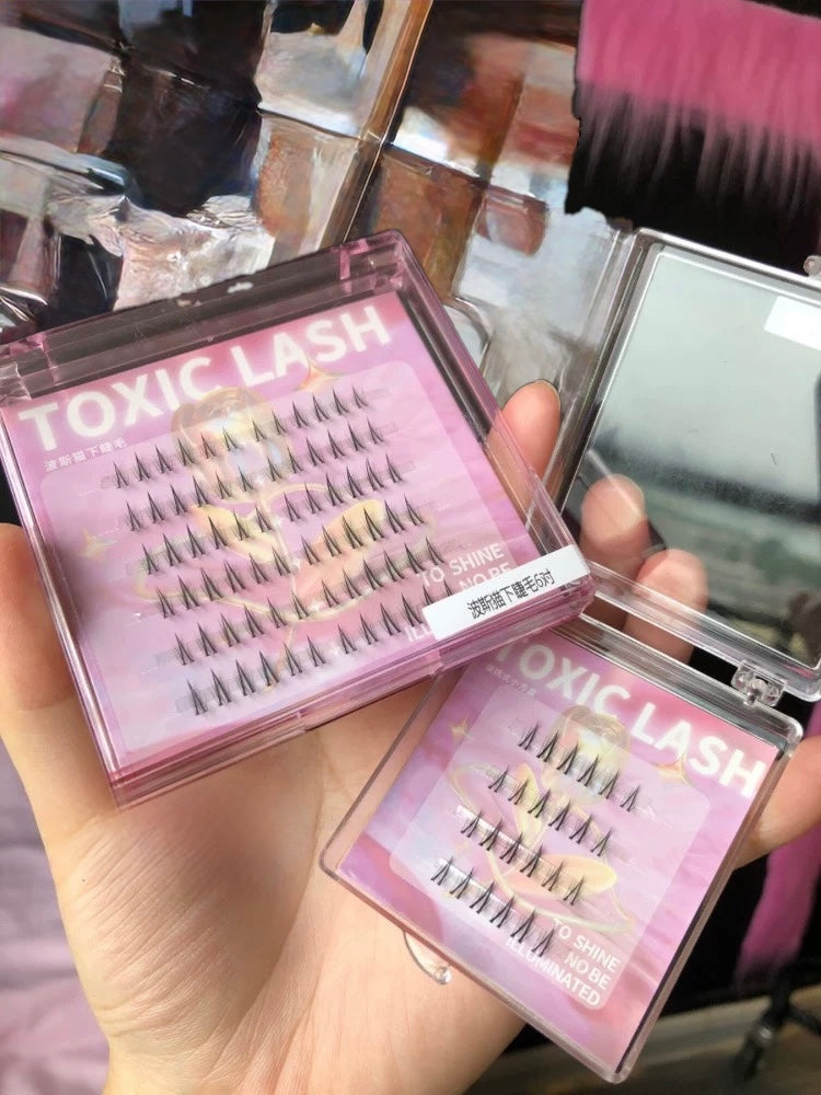 Toxic Lash｜Persian Cat