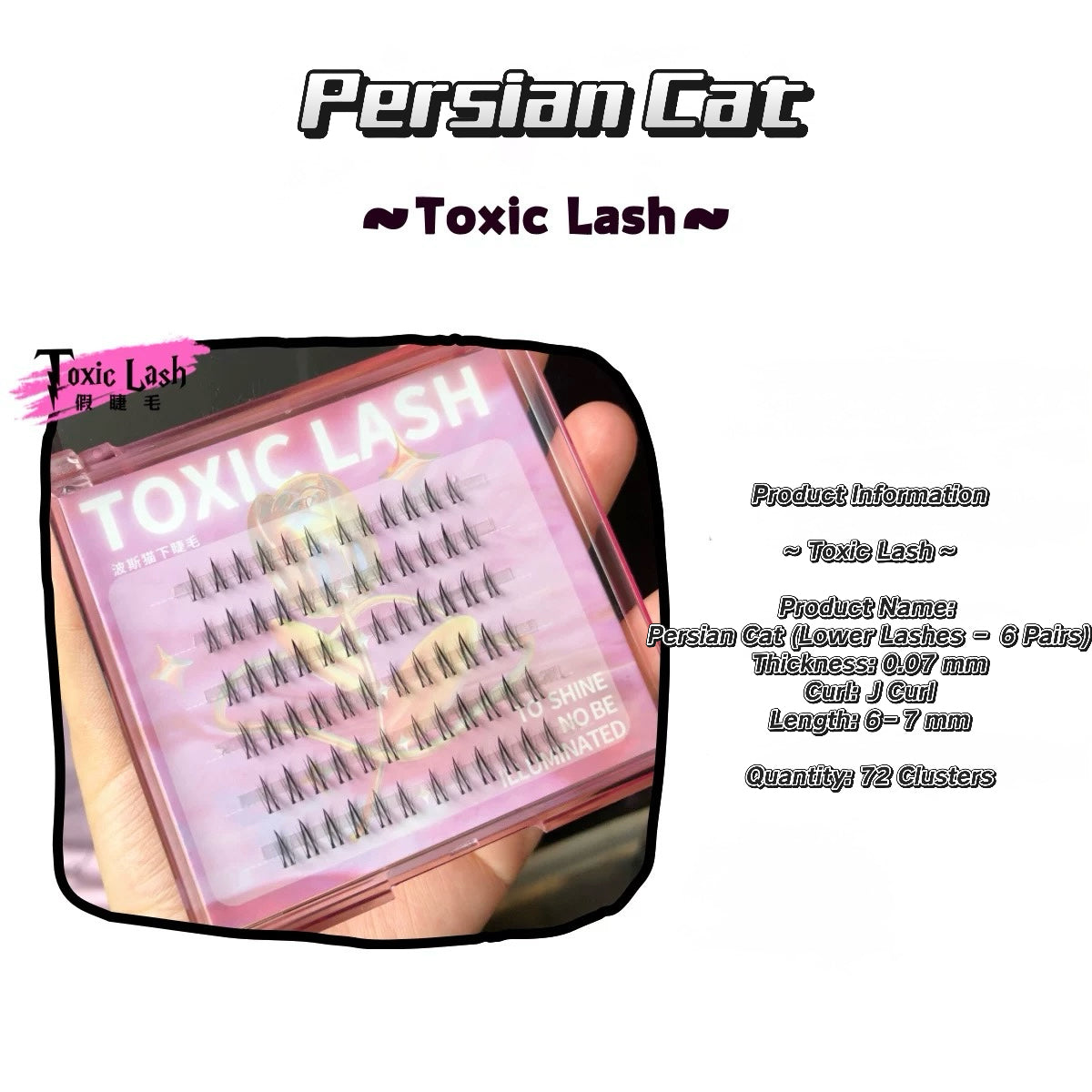 Toxic Lash｜Persian Cat