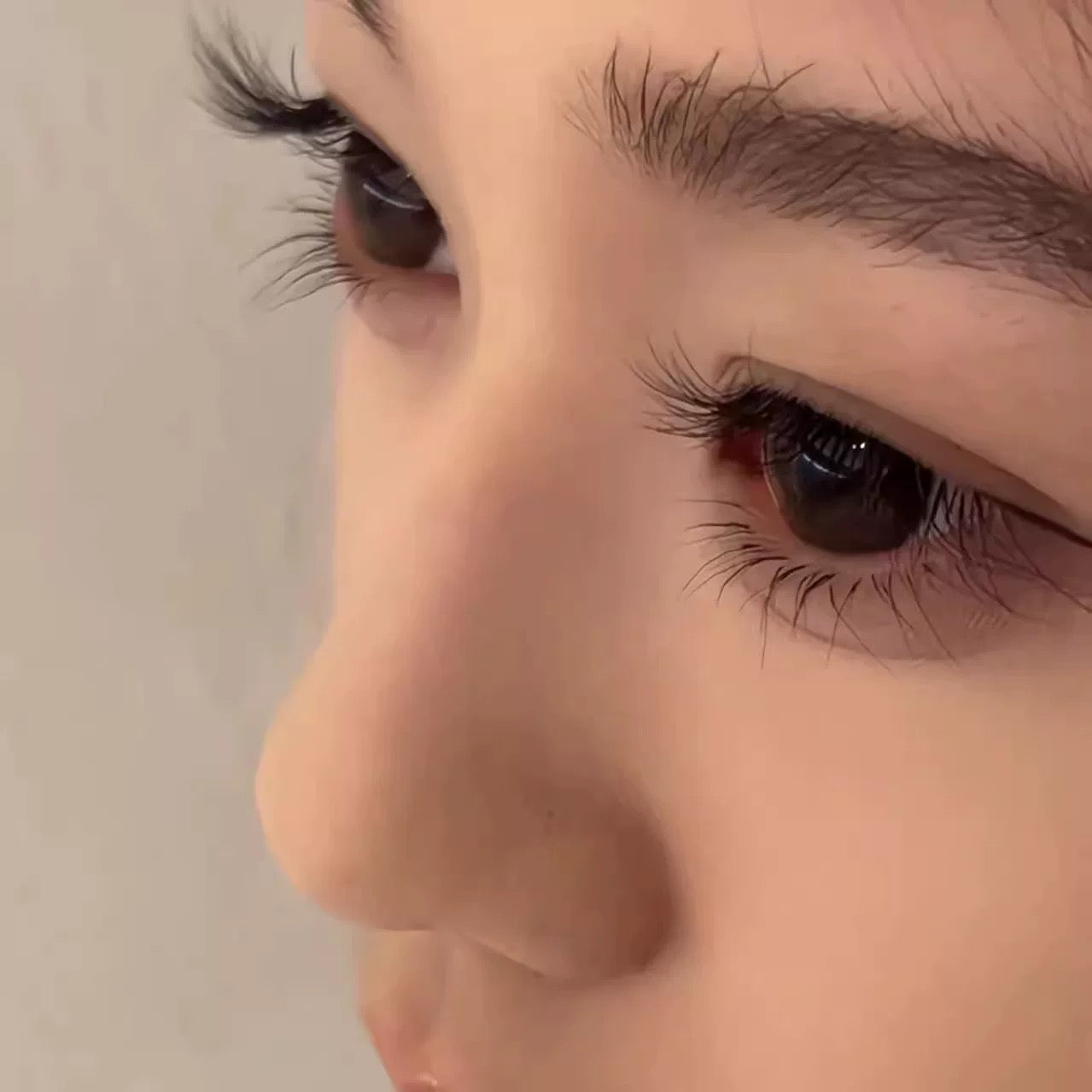 Lash fibers｜Fluffy Blossom Bundle