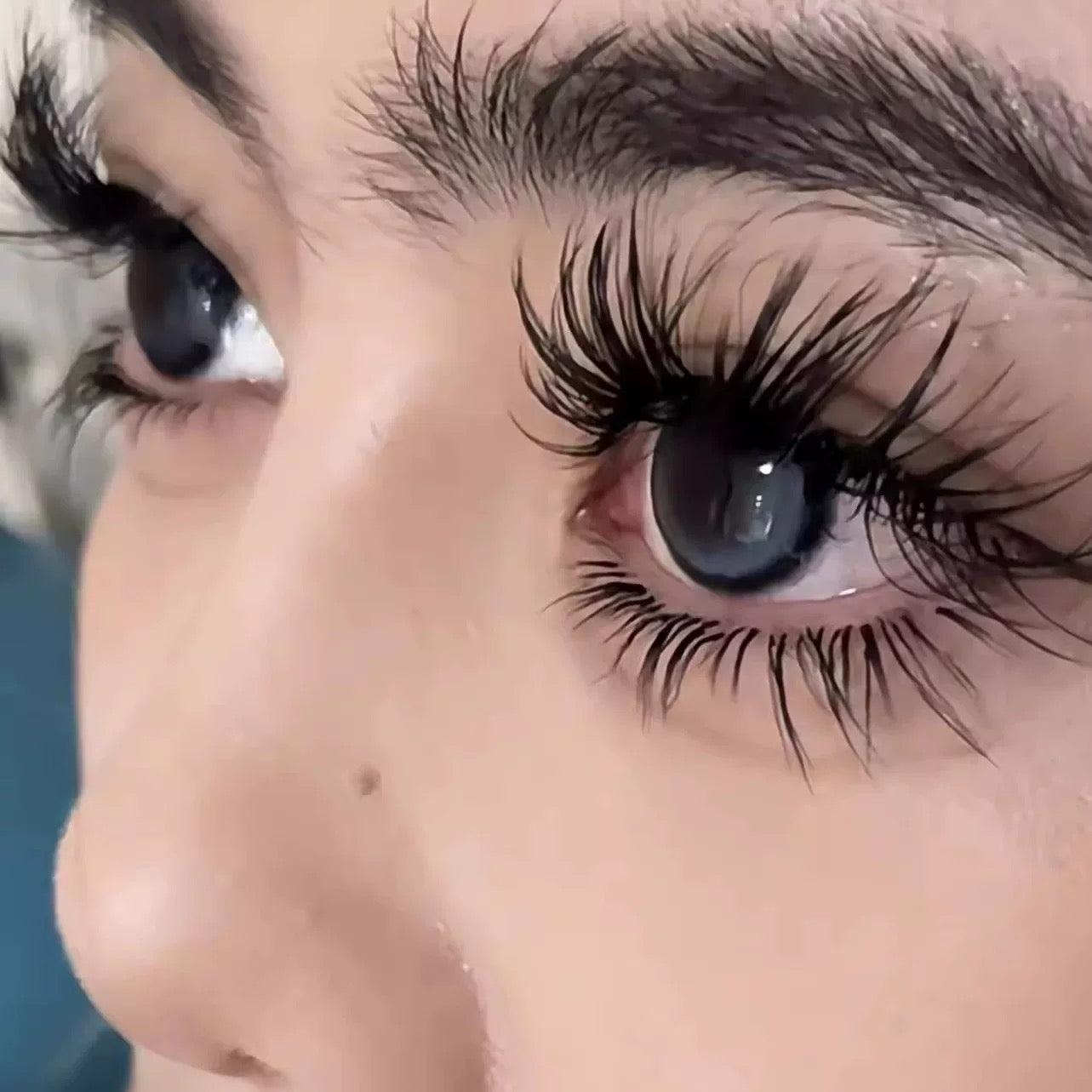 Lash fibers｜Lower Lash Series Bundle